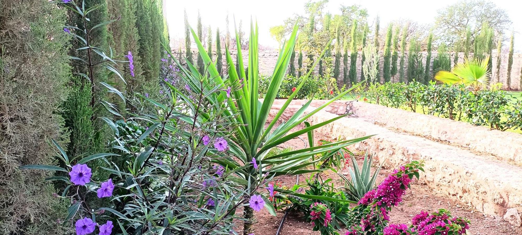 Villa Iyad Essaouira Esterno foto