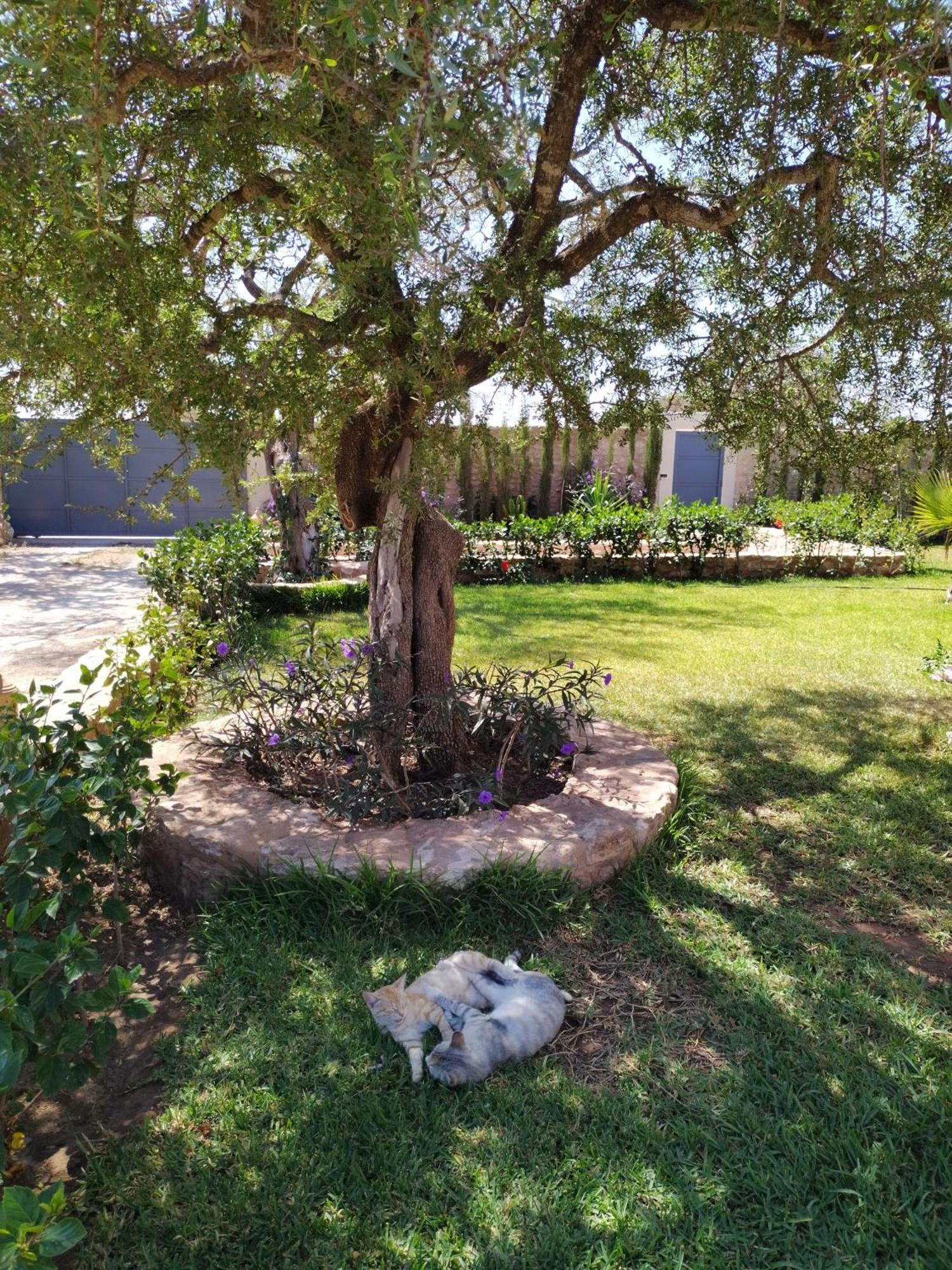 Villa Iyad Essaouira Esterno foto