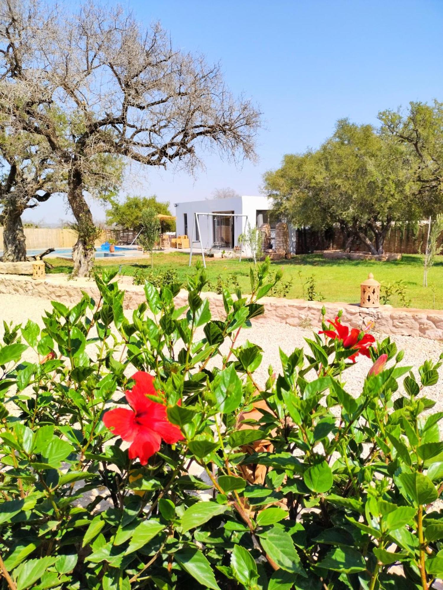 Villa Iyad Essaouira Esterno foto